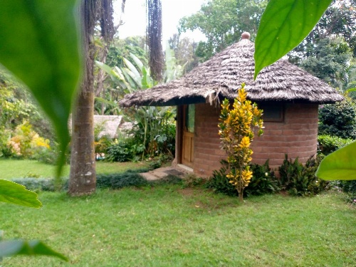 Tololwa spring image 1